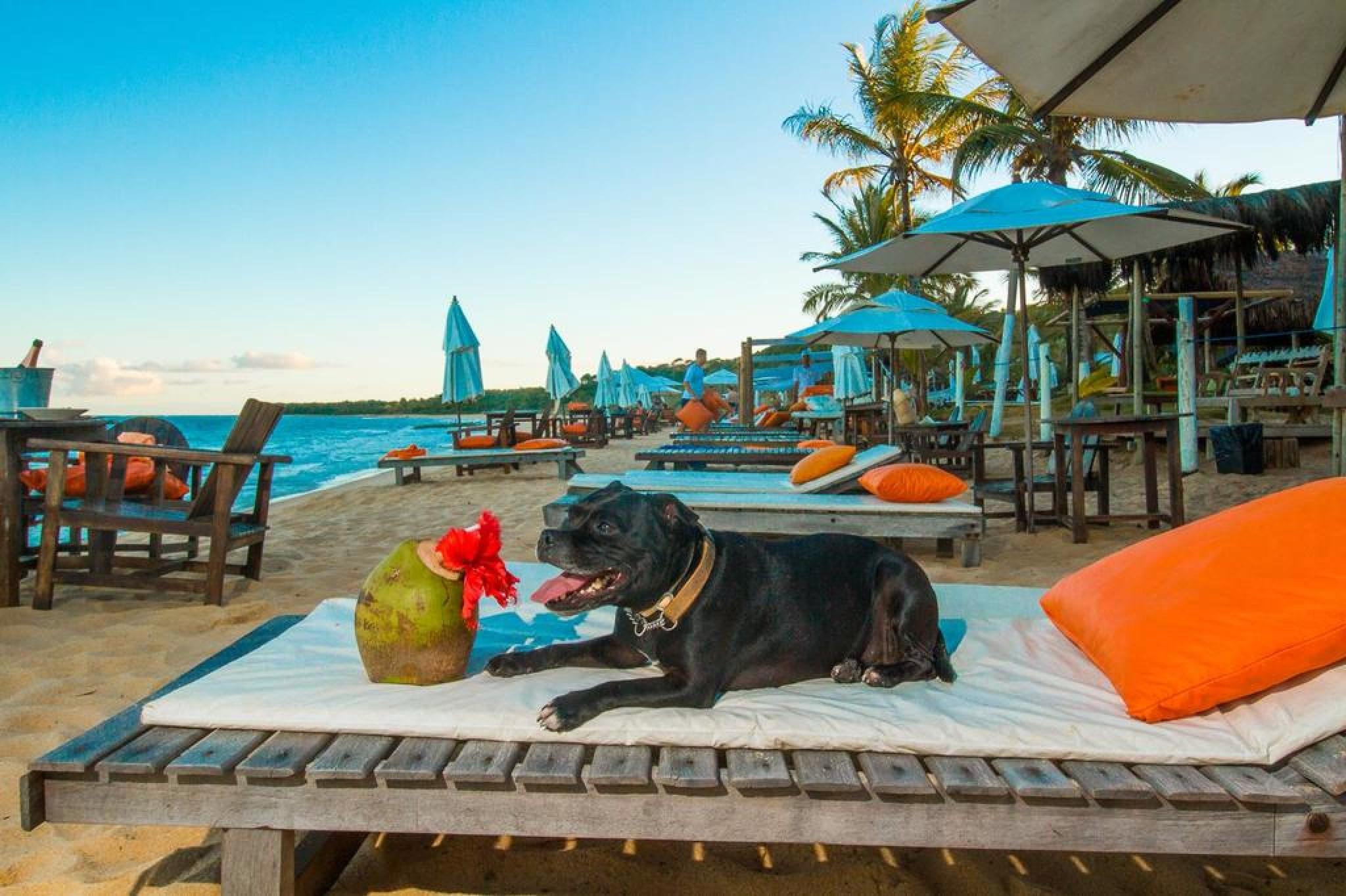 Travel Inn Trancoso Garden Εξωτερικό φωτογραφία